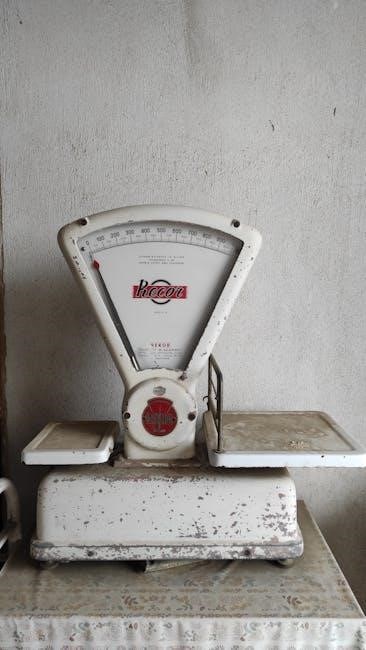 seca weight scale manual