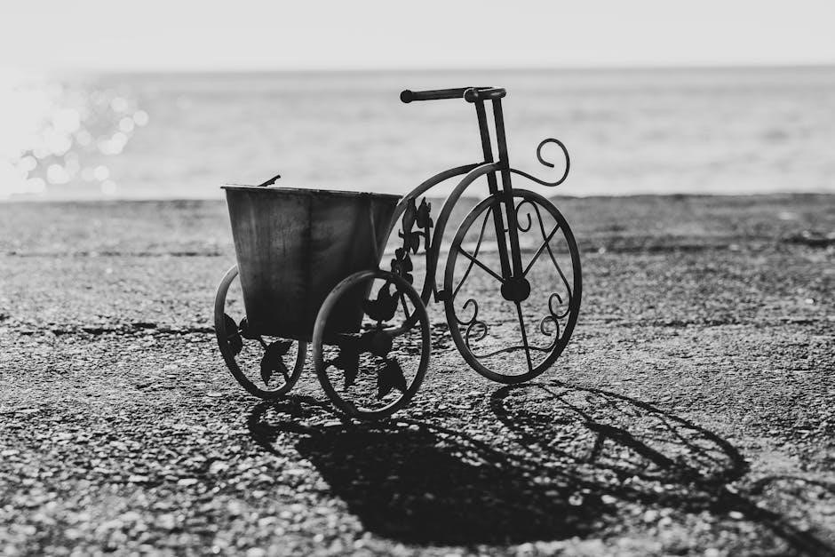 womens bike frame size guide